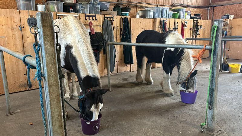 2023 12 Dezember 664